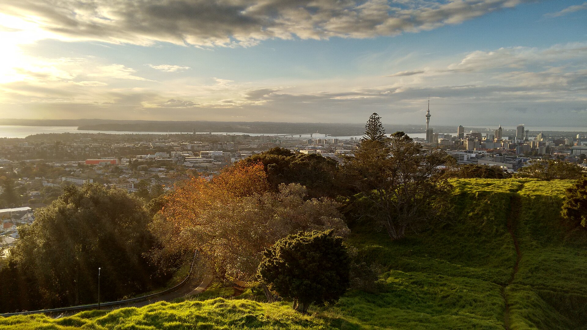 Vista de Auckland al atardecer desde un cerro, con la Sky Tower al fondo