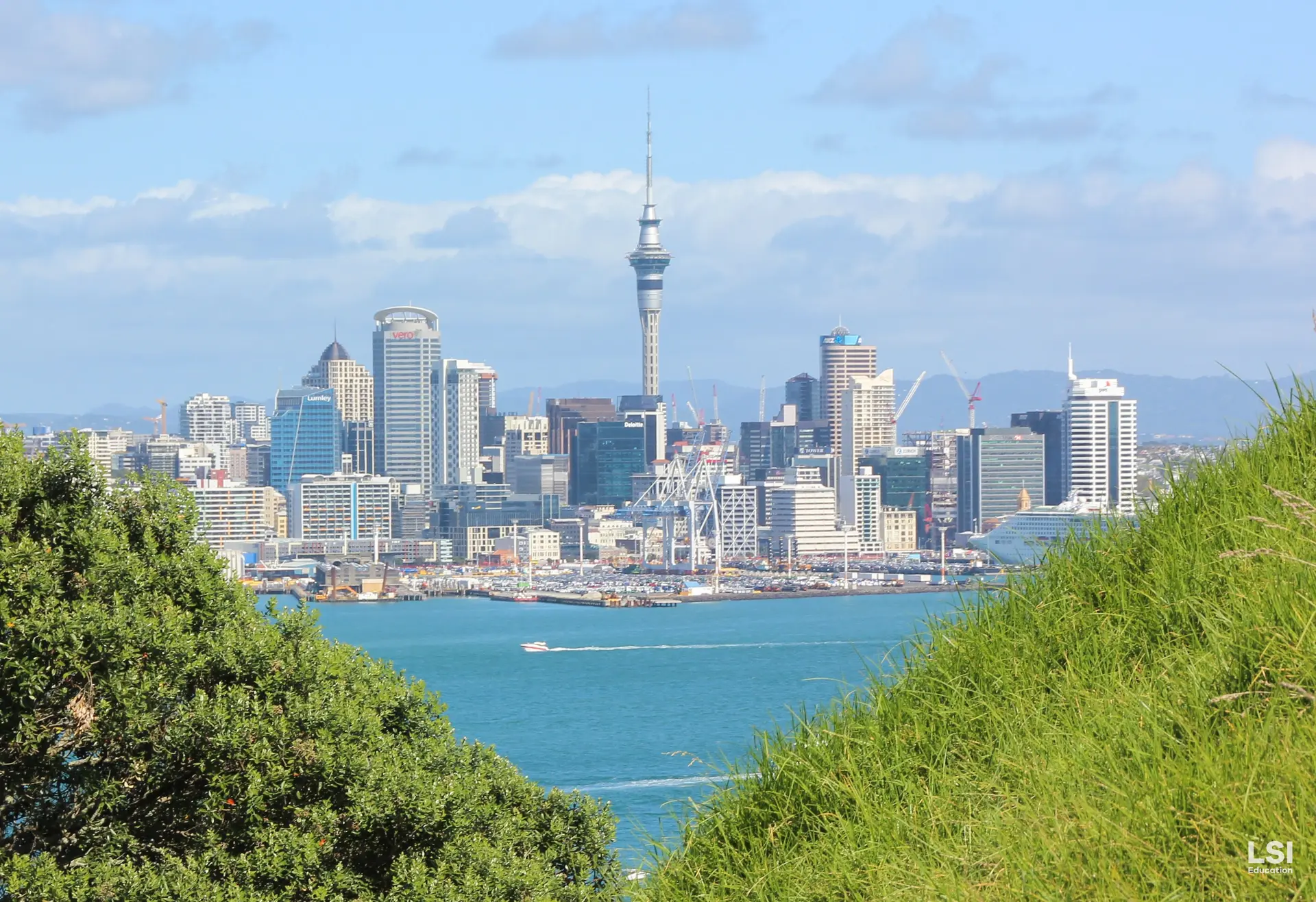 Work and Study New Zealand