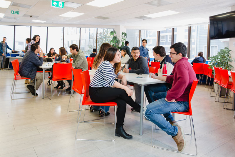LSI Auckland