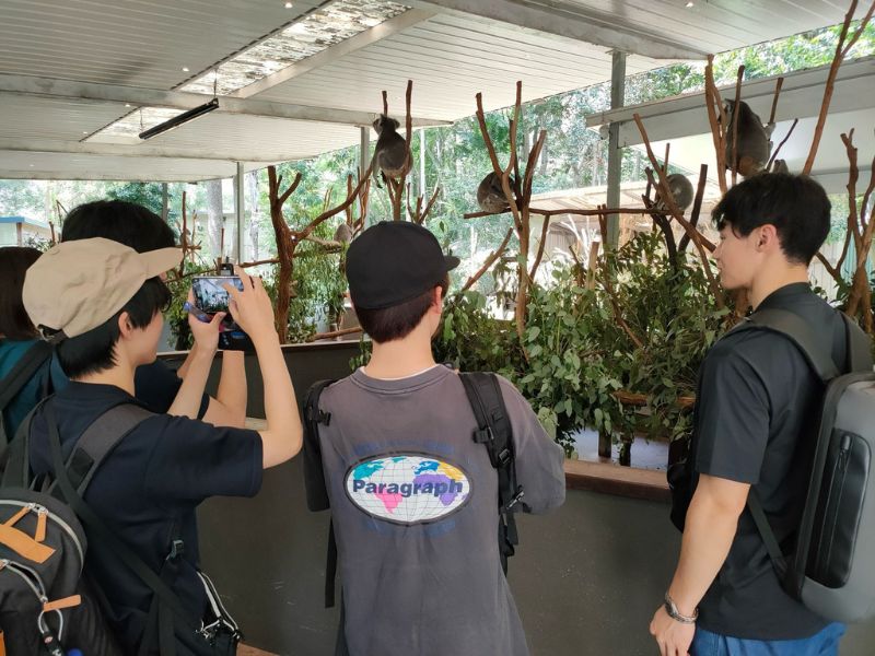 LSI Brisbane
